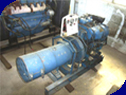 Bedding Generators
